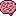 Brain